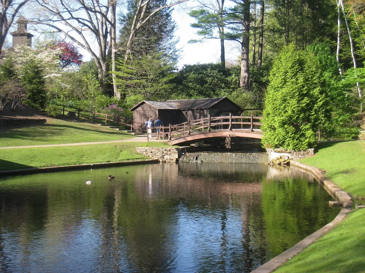 Stanley Park, Westfield