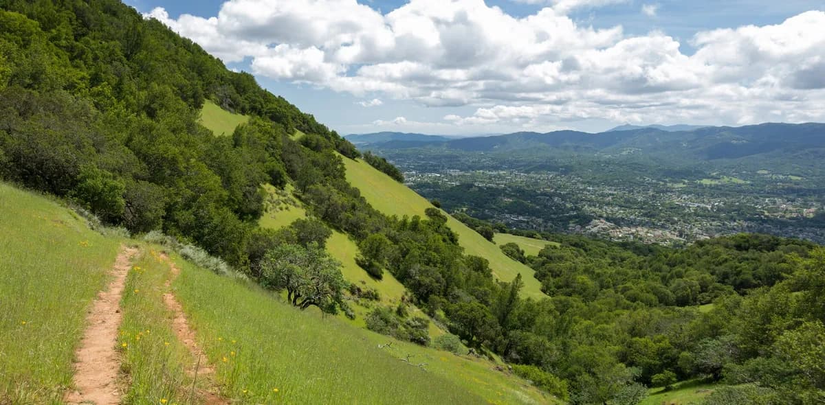 Mount Burdell Open Space Preserve