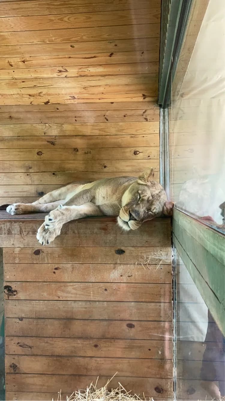 Akron Zoo