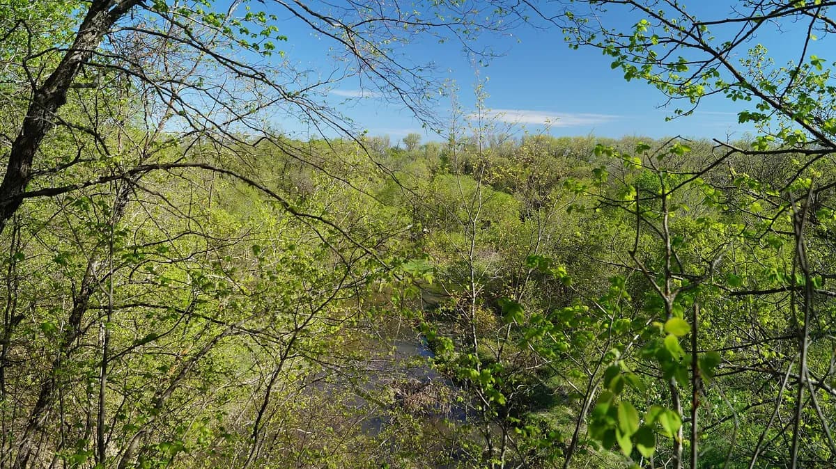 Turtle River State Park