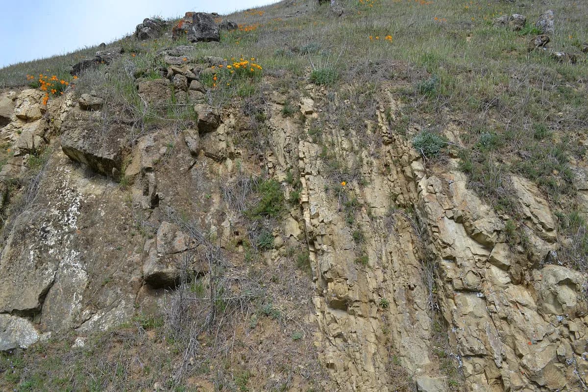 Ed R. Levin County Park