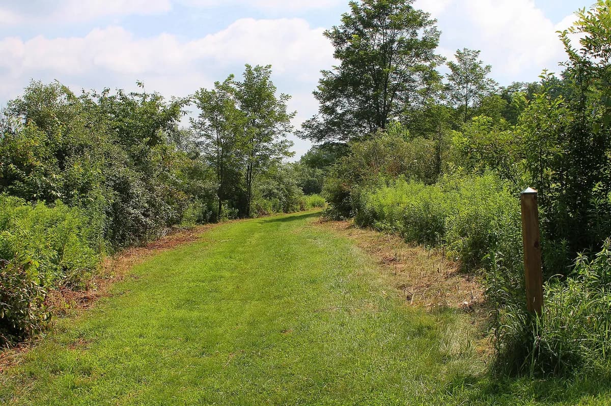 Turtle Creek Park