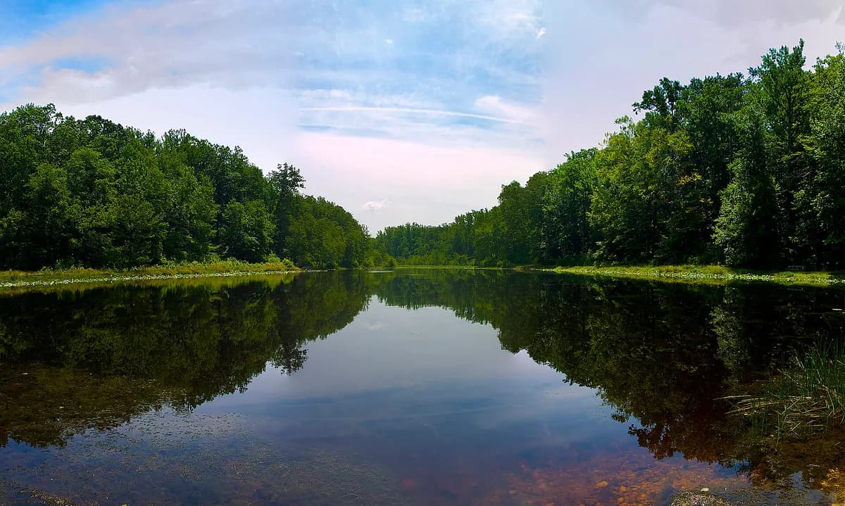 Cedarville State Forest