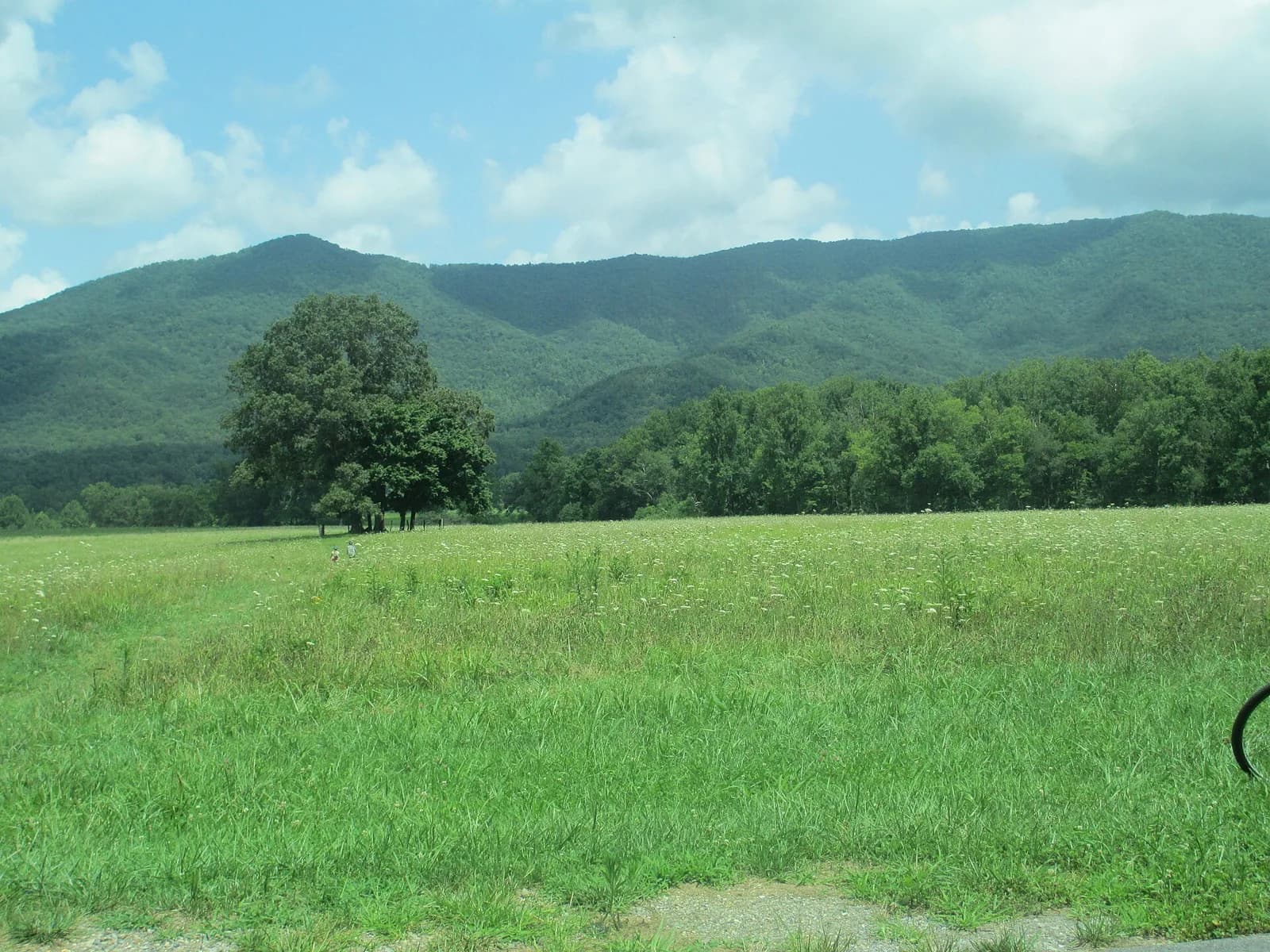 Cades Cove, Tennessee