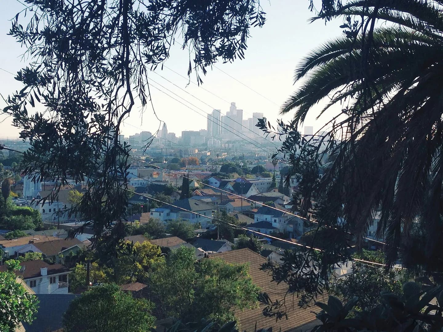 View of Lincoln Heights and Downtown Los Angeles from the San Rafael Hills.