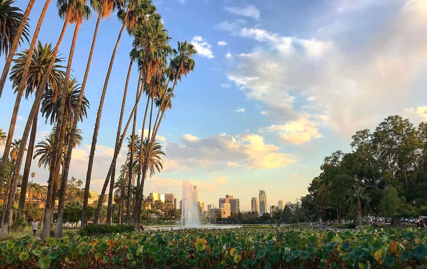 Echo park lake and fountain on a partly cloudy day in Echo Park, Los Angeles, CA with lotus flowers in the foreground and the Downtown Los Angeles skyline in the background,