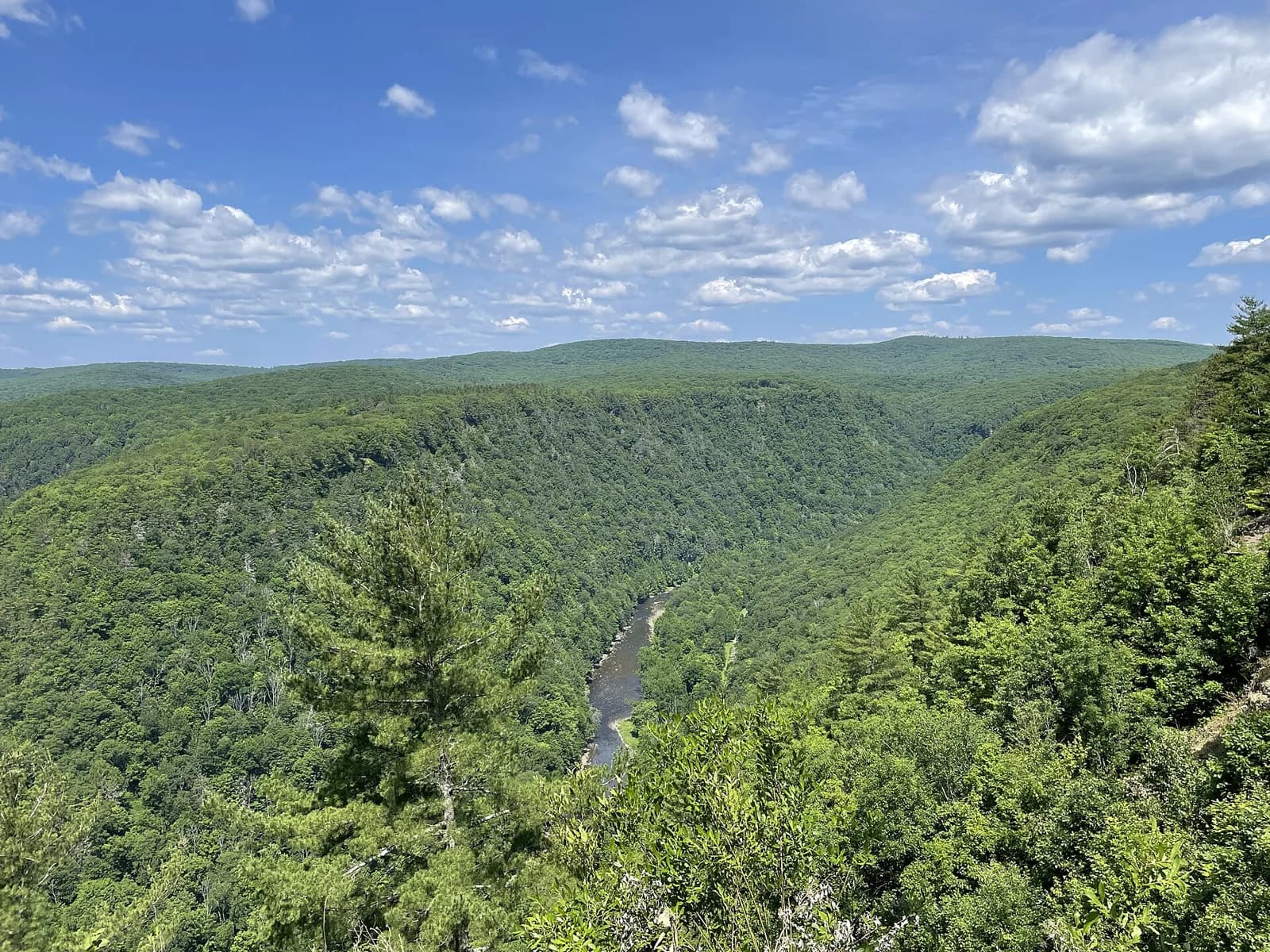 Leonard Harrison State Park, Pennsylvania
