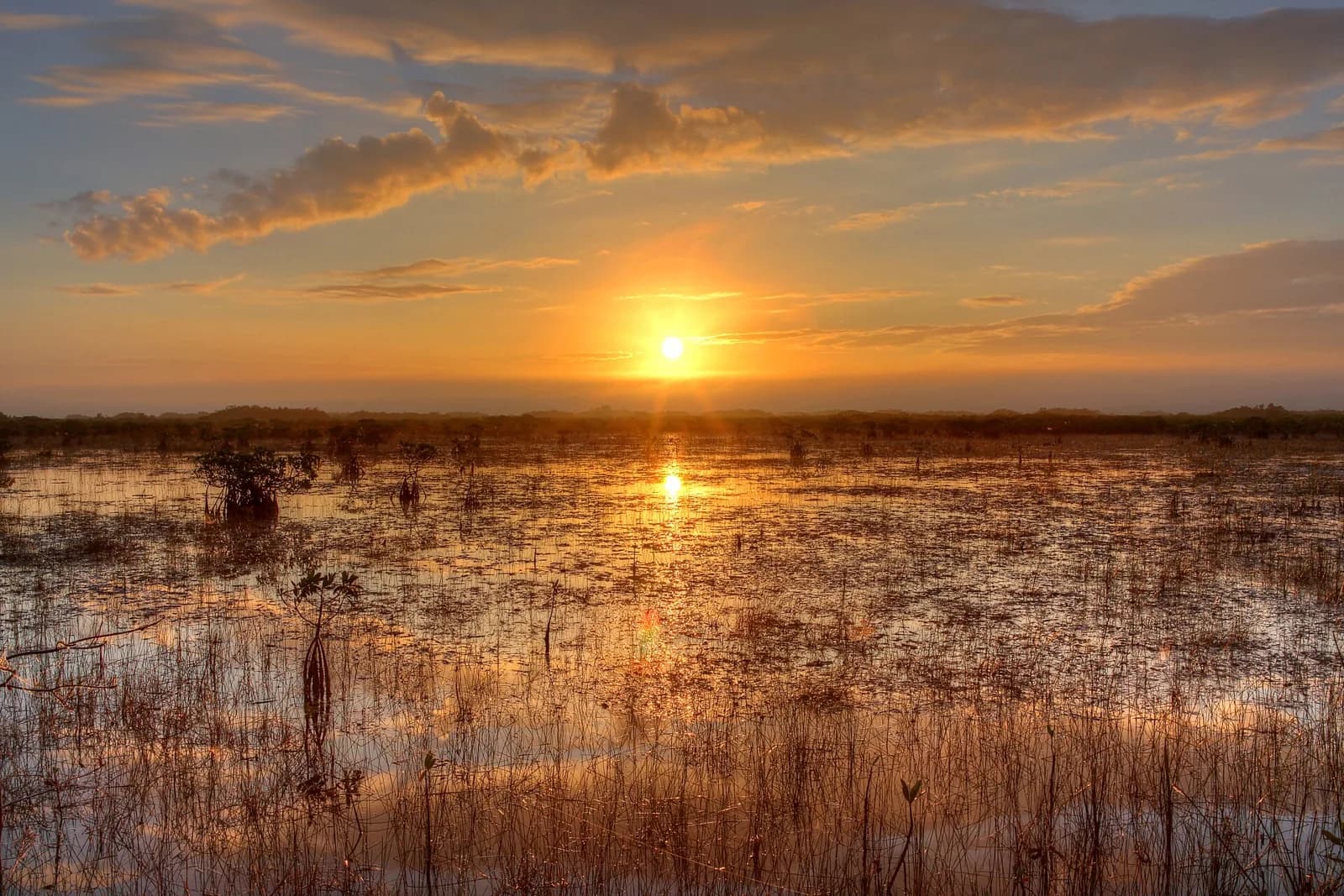 Everglades National Park, Florida
