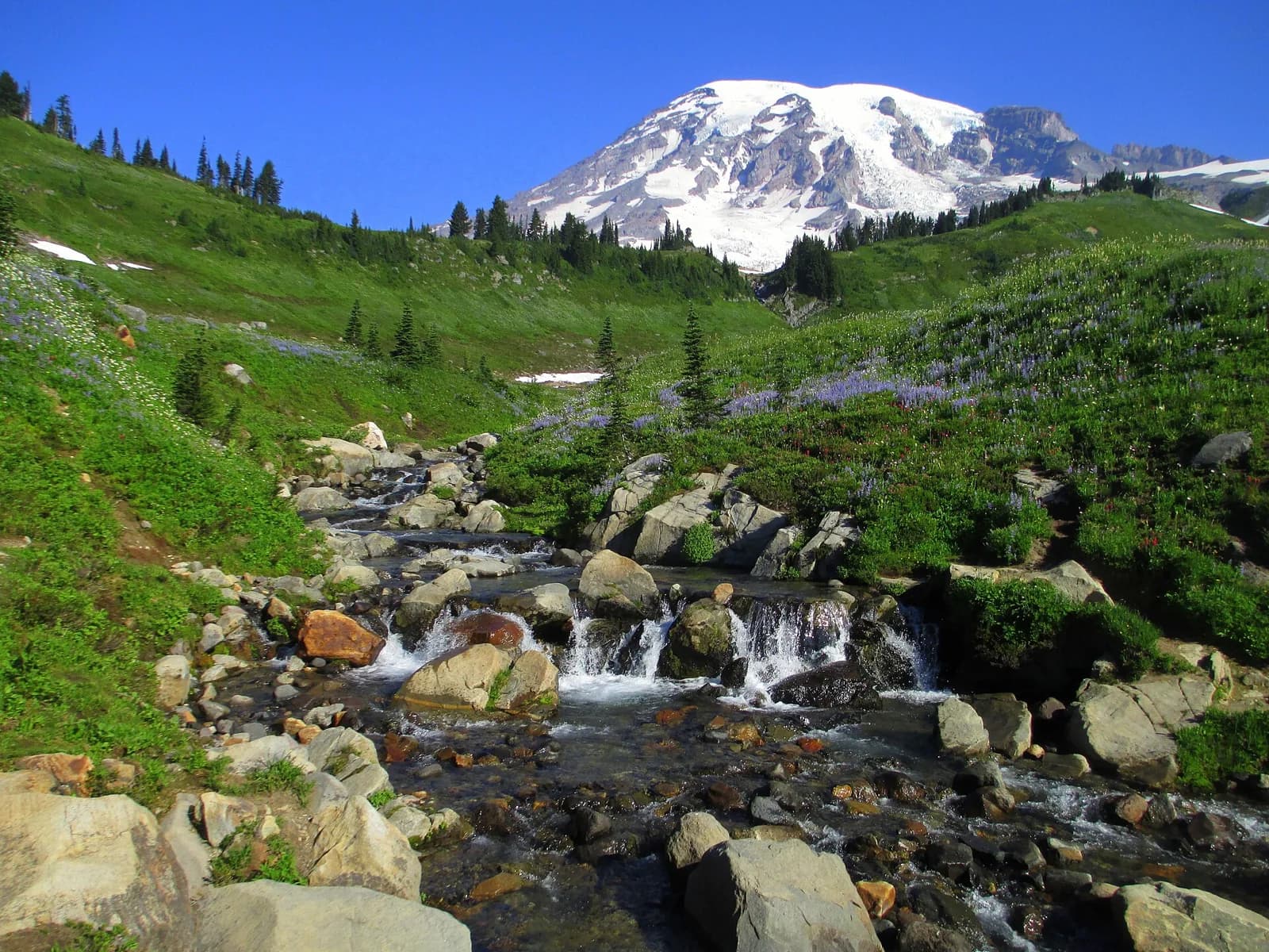 Mount Rainier National Park, Washington