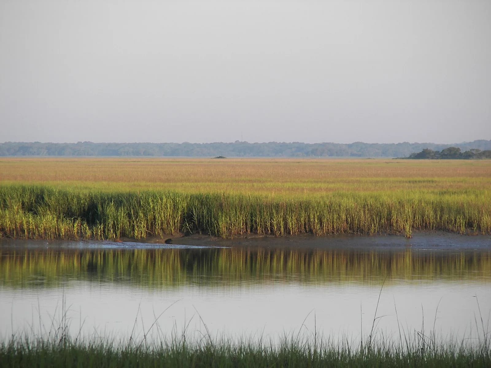 Hunting Island State Park, South Carolina
