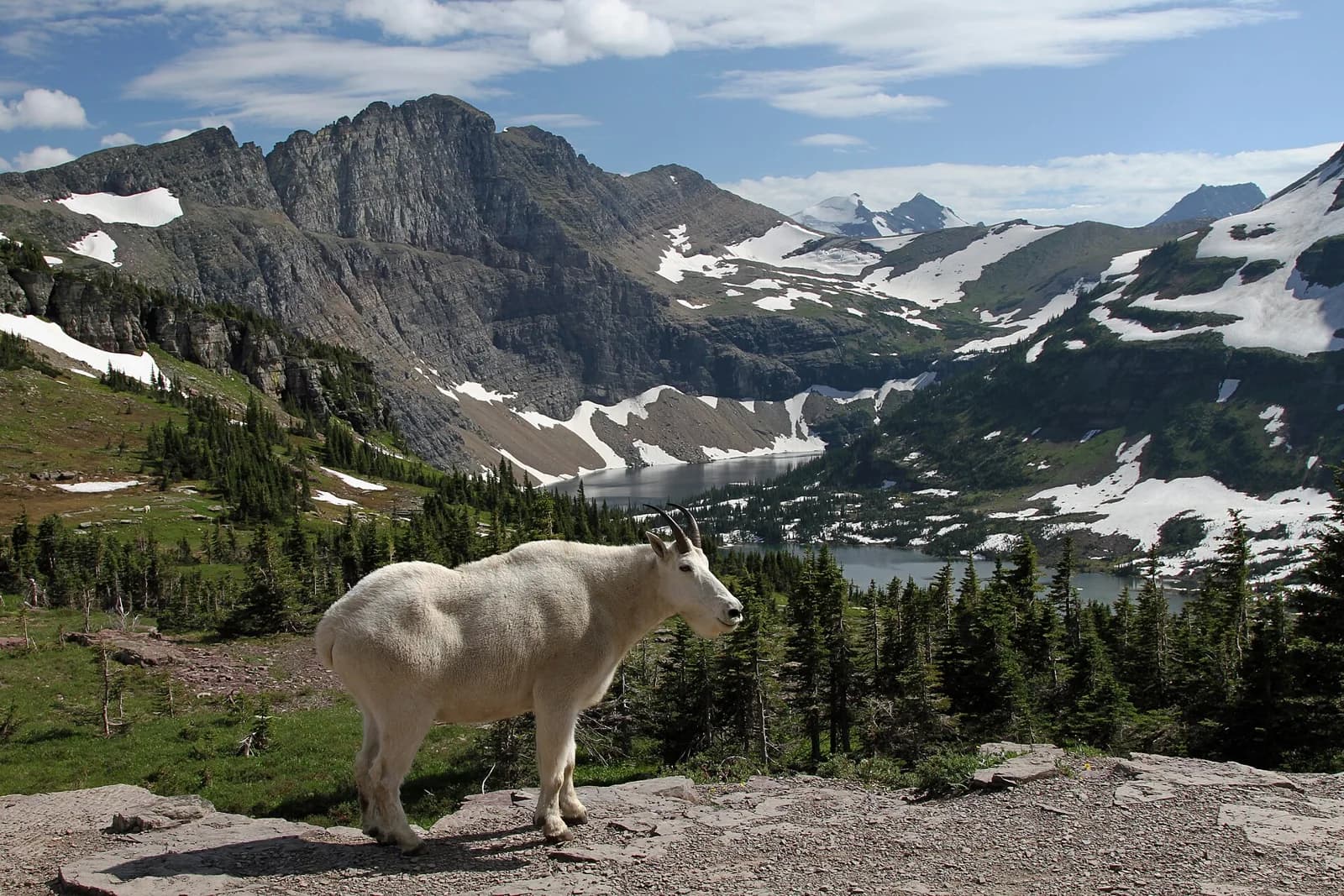 Glacier National Park (U.S.), Montana
