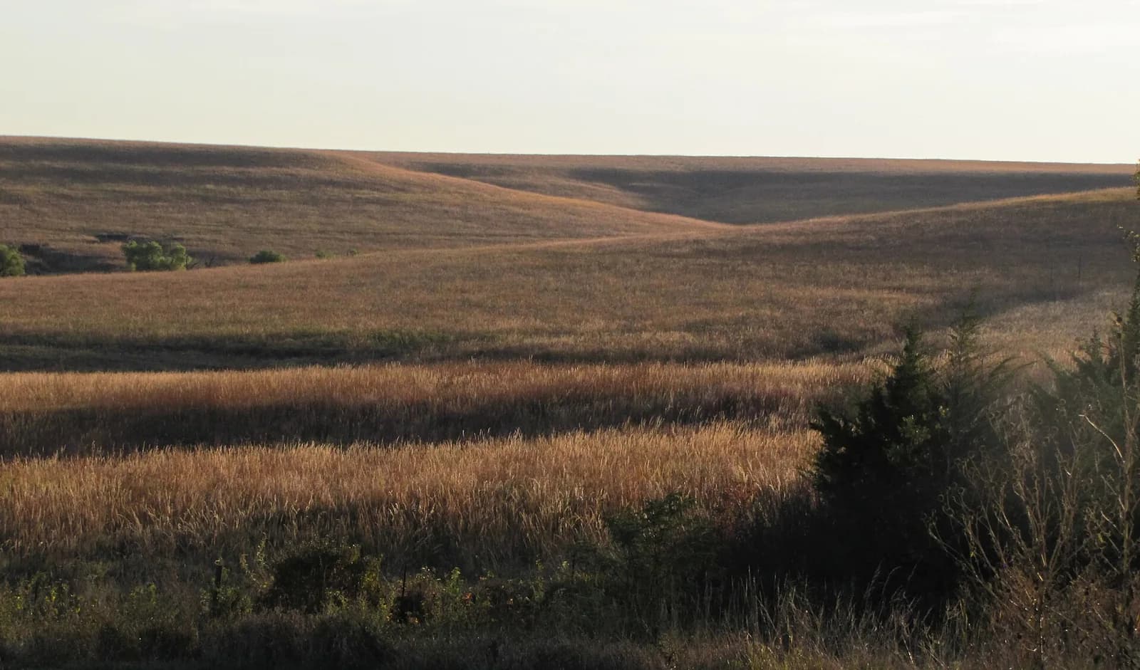 Tallgrass Prairie National Preserve, Kansas