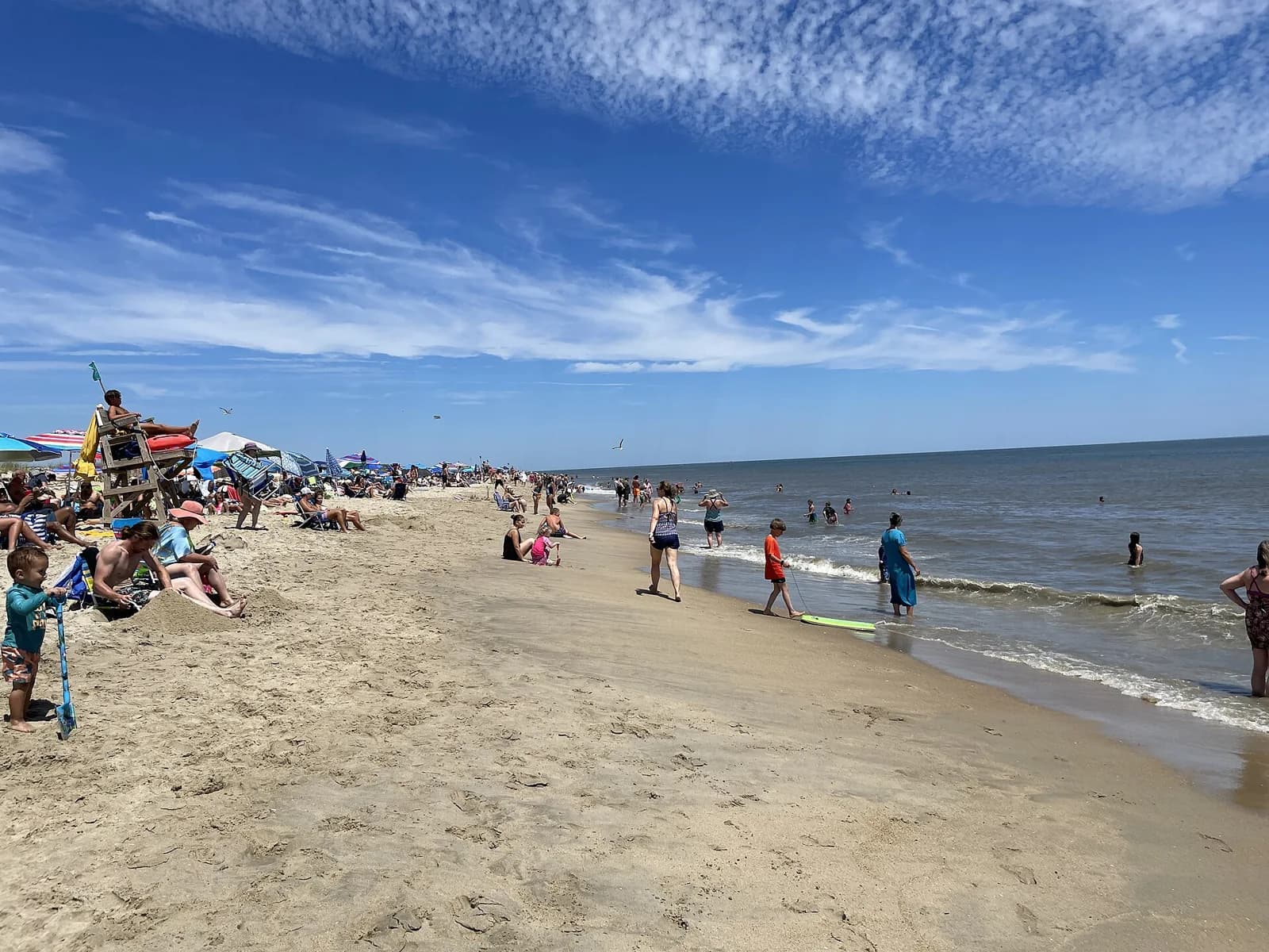 Cape Henlopen State Park, Delaware