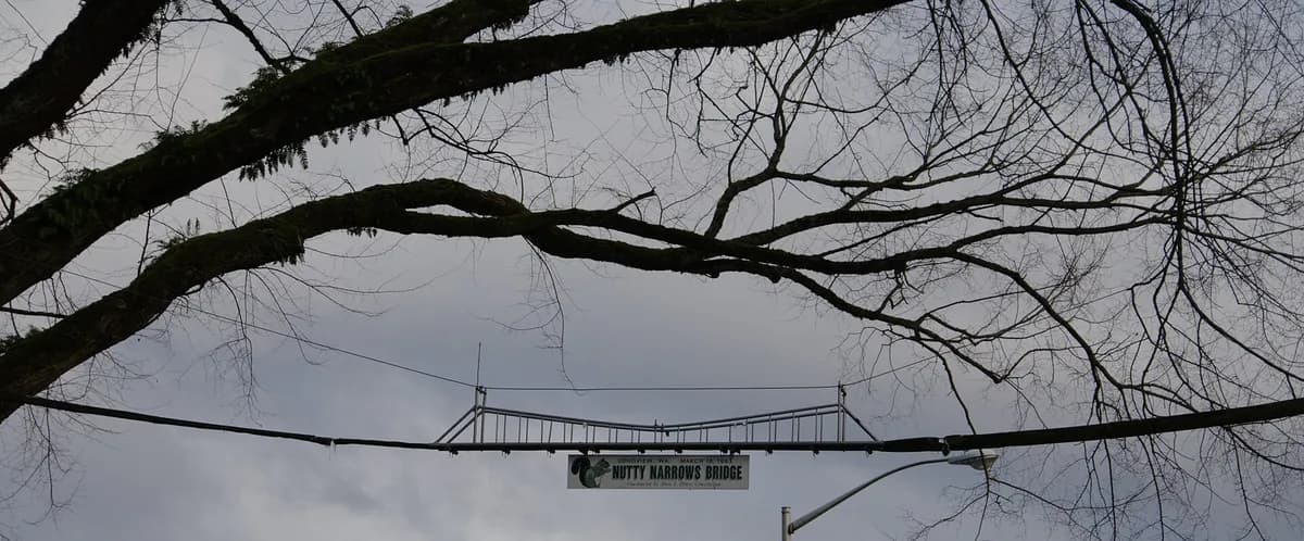 Nutty Narrows Squirrel Bridge
