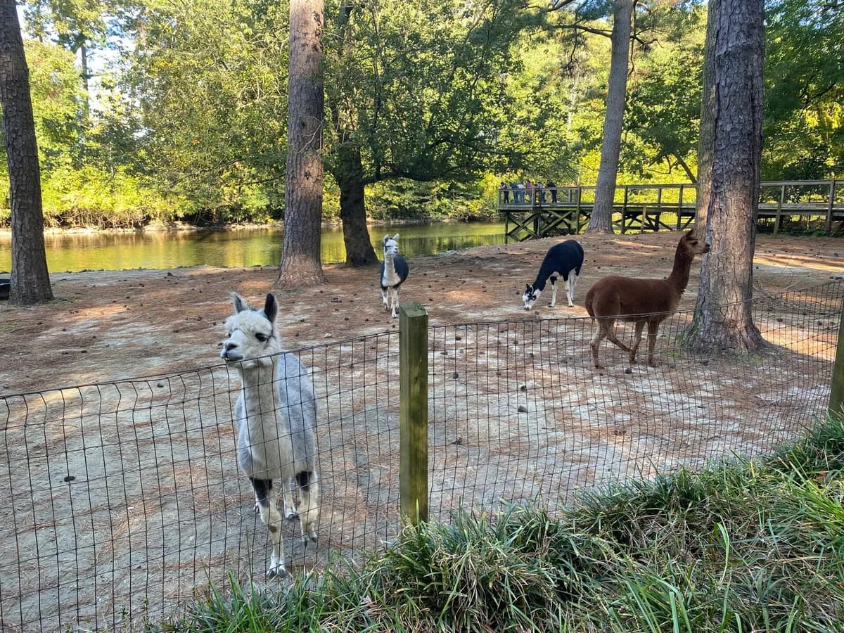 Salisbury Zoo